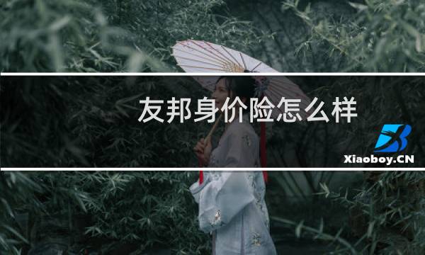 友邦身价险怎么样