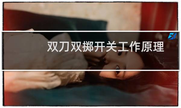 双刀双掷开关工作原理（什么叫双刀双掷开关）图片