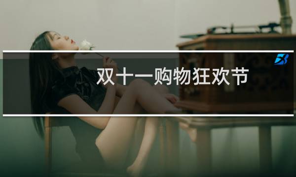 双十一购物狂欢节