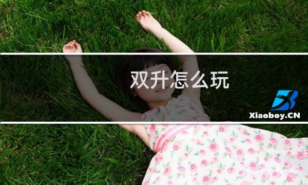 双升怎么玩