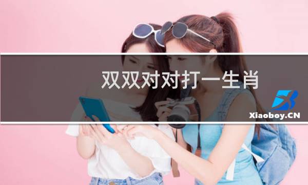 双双对对打一生肖（双双魔域）