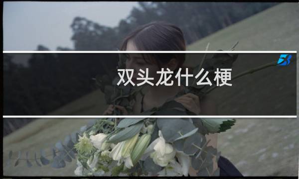 双头龙什么梗