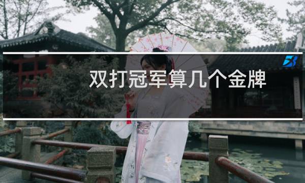 双打冠军算几个金牌