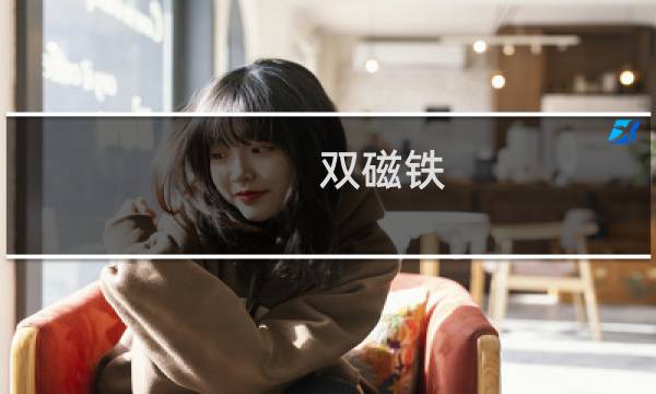 双磁铁