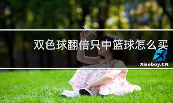 双色球翻倍只中篮球怎么买