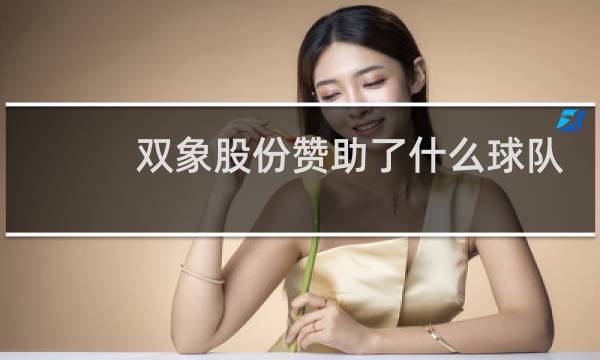 双象股份赞助了什么球队