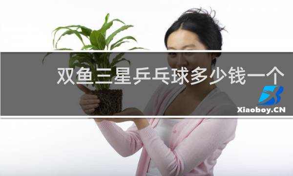 双鱼三星乒乓球多少钱一个
