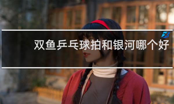 双鱼乒乓球拍和银河哪个好