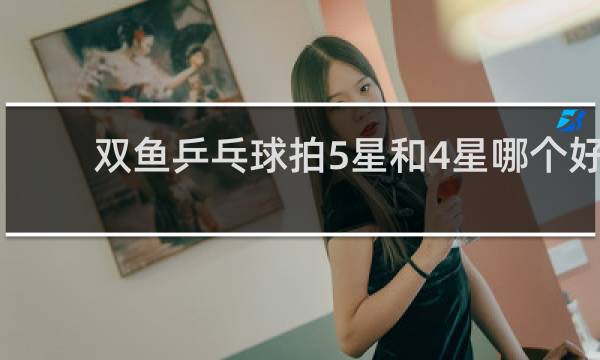 双鱼乒乓球拍5星和4星哪个好