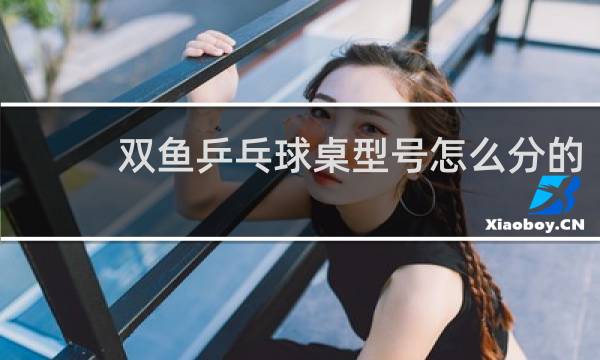 双鱼乒乓球桌型号怎么分的