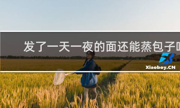 发了一天一夜的面还能蒸包子吗