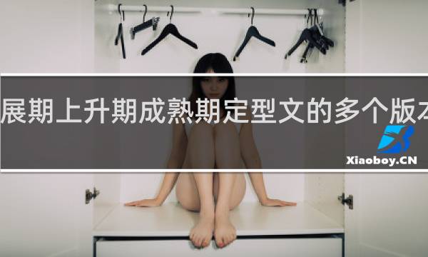 发展期上升期成熟期定型文的多个版本什么梗