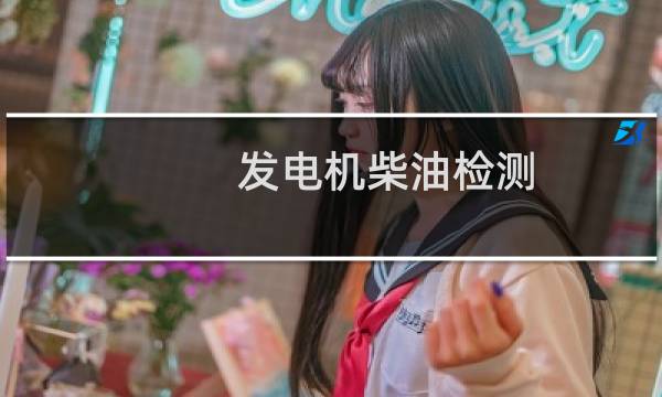发电机柴油检测