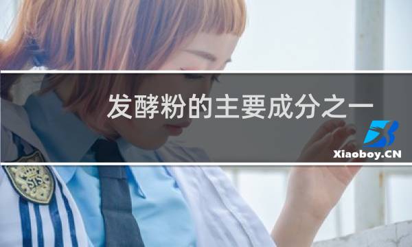 发酵粉的主要成分之一的化学式（发酵粉的主要成分）
