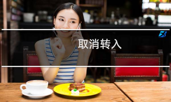 取消转入，不需要了，太慢了