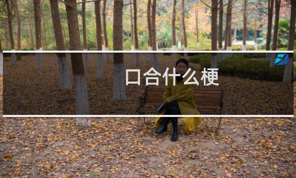 口合什么梗
