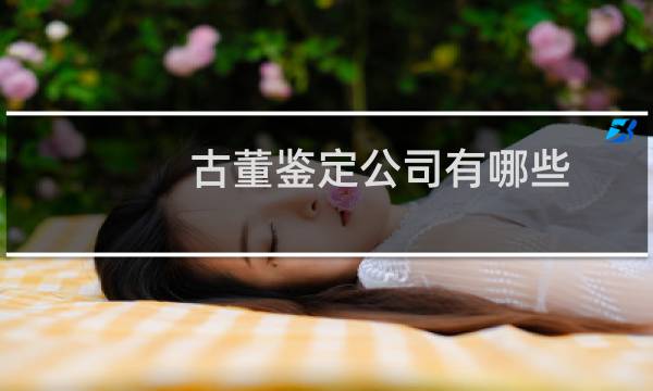 古董鉴定公司有哪些