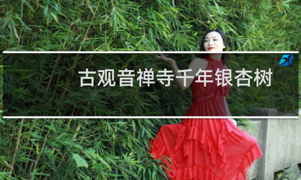 古观音禅寺千年银杏树