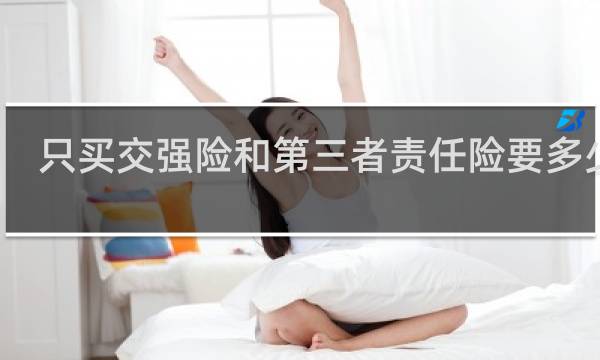 只买交强险和第三者责任险要多少钱