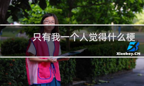 只有我一个人觉得什么梗