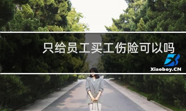 只给员工买工伤险可以吗