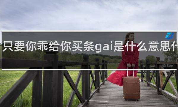 只要你乖给你买条gai是什么意思什么梗