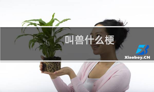 叫兽什么梗？什么梗