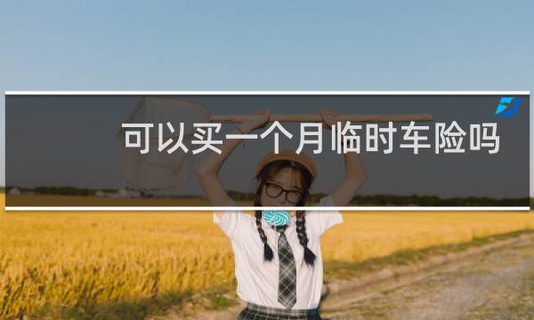 可以买一个月临时车险吗图片