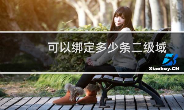 可以绑定多少条二级域名-其他问题