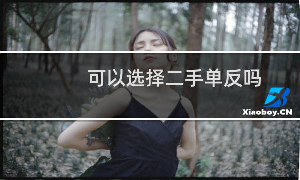 可以选择二手单反吗