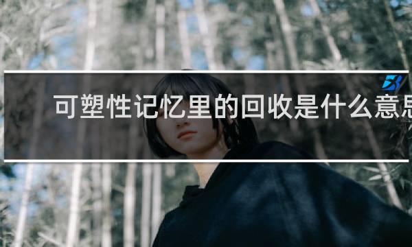 可塑性记忆里的回收是什么意思