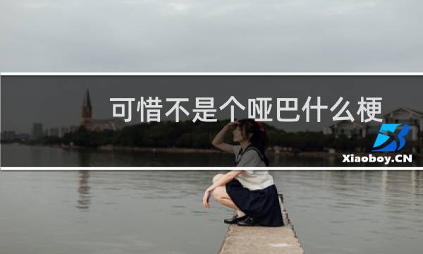 可惜不是个哑巴什么梗？可惜不是个哑巴是什么意思什么梗