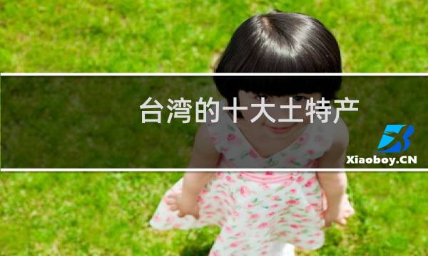 台湾的十大土特产图片
