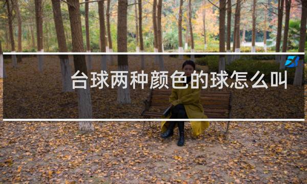 台球两种颜色的球怎么叫