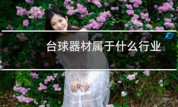 台球器材属于什么行业