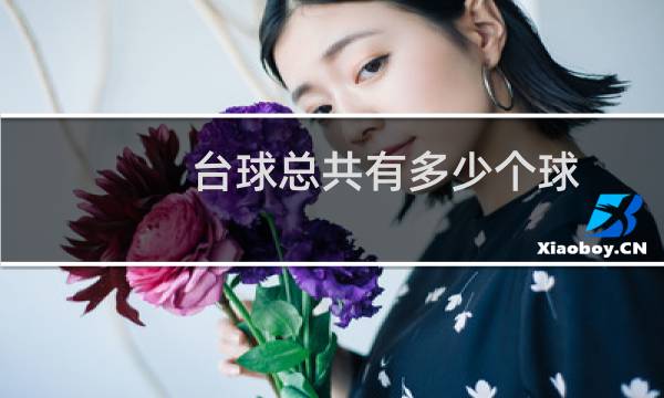 台球总共有多少个球
