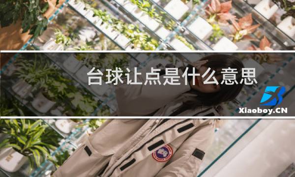 台球让点是什么意思