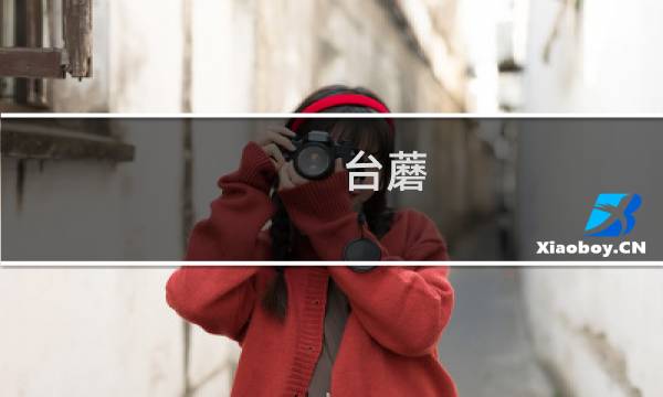 台蘑（五台县特产）图片