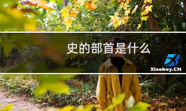 史的部首是什么（汉字史的部首是什么）图片