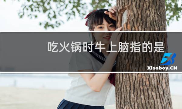 吃火锅时牛上脑指的是牛的哪个部位（吃火锅时的牛上脑是牛的什么部位）