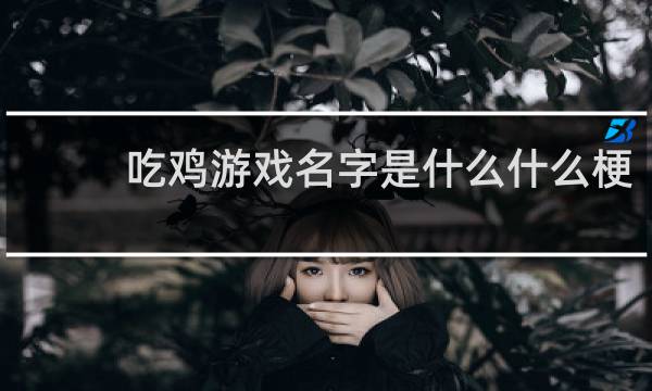 吃鸡游戏名字是什么什么梗