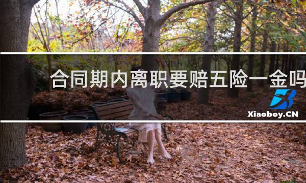 合同期内离职要赔五险一金吗