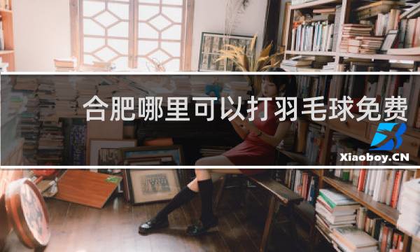 合肥哪里可以打羽毛球免费
