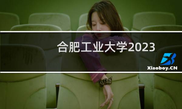 合肥工业大学2023中外合作办学分数线