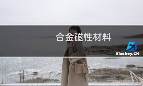 合金磁性材料