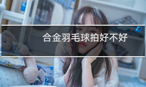 合金羽毛球拍好不好
