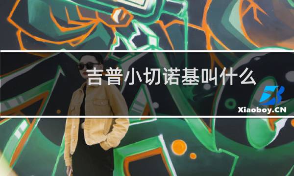 吉普小切诺基叫什么