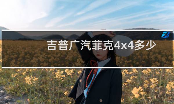 吉普广汽菲克4x4多少钱