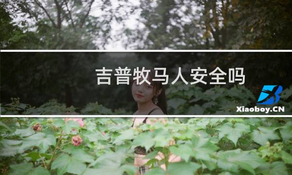吉普牧马人安全吗