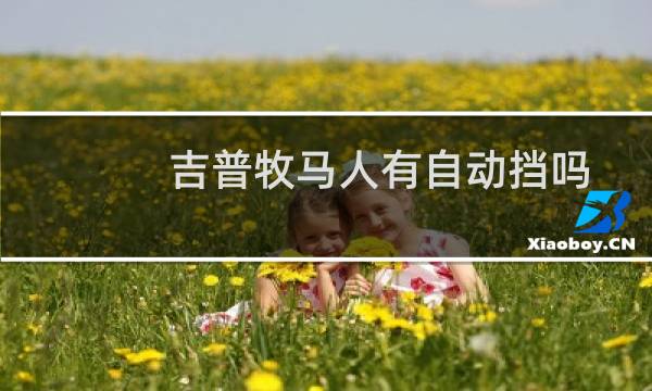 吉普牧马人有自动挡吗